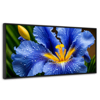 Cuadros Decorativos Canvas Revolution | Magia Flor Iris | Panoramico | Portada | Marco Negro