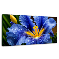 Cuadros Decorativos Canvas Revolution | Magia Flor Iris | Panoramico | Portada | Marco SinMarco