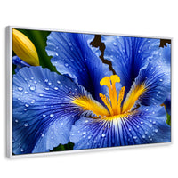 Cuadros Decorativos Canvas Revolution | Magia Flor Iris | Rectangular | Portada | Marco Blanco