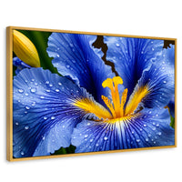 Cuadros Decorativos Canvas Revolution | Magia Flor Iris | Rectangular | Portada | Marco Dorado