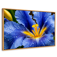 Cuadros Decorativos Canvas Revolution | Magia Flor Iris | Rectangular | Portada | Marco Madera