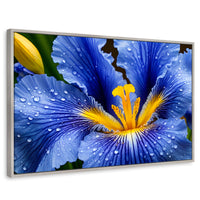 Cuadros Decorativos Canvas Revolution | Magia Flor Iris | Rectangular | Portada | Marco Plateado