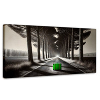 Cuadros Decorativos Canvas Revolution | Maleta Solitaria | Panoramico | Portada | Marco SinMarco