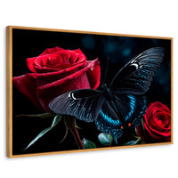 Cuadros Decorativos Canvas Revolution | Mariposa Nocturna | Rectangular | Portada | Marco Madera