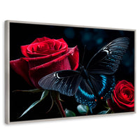 Cuadros Decorativos Canvas Revolution | Mariposa Nocturna | Rectangular | Portada | Marco Plateado