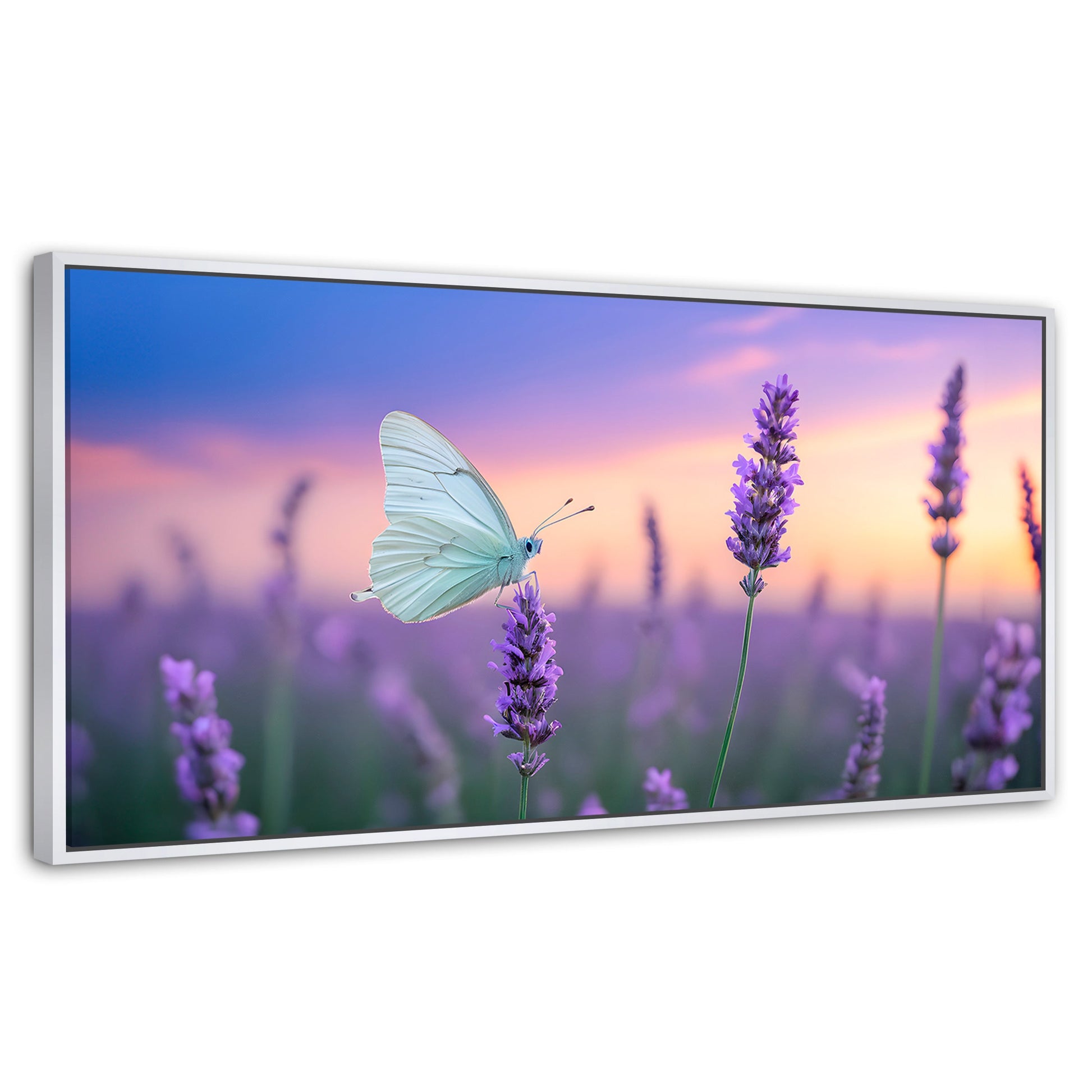Cuadros Decorativos Canvas Revolution | Mariposa Y Lavanda | Panoramico | Portada | Marco Dorado