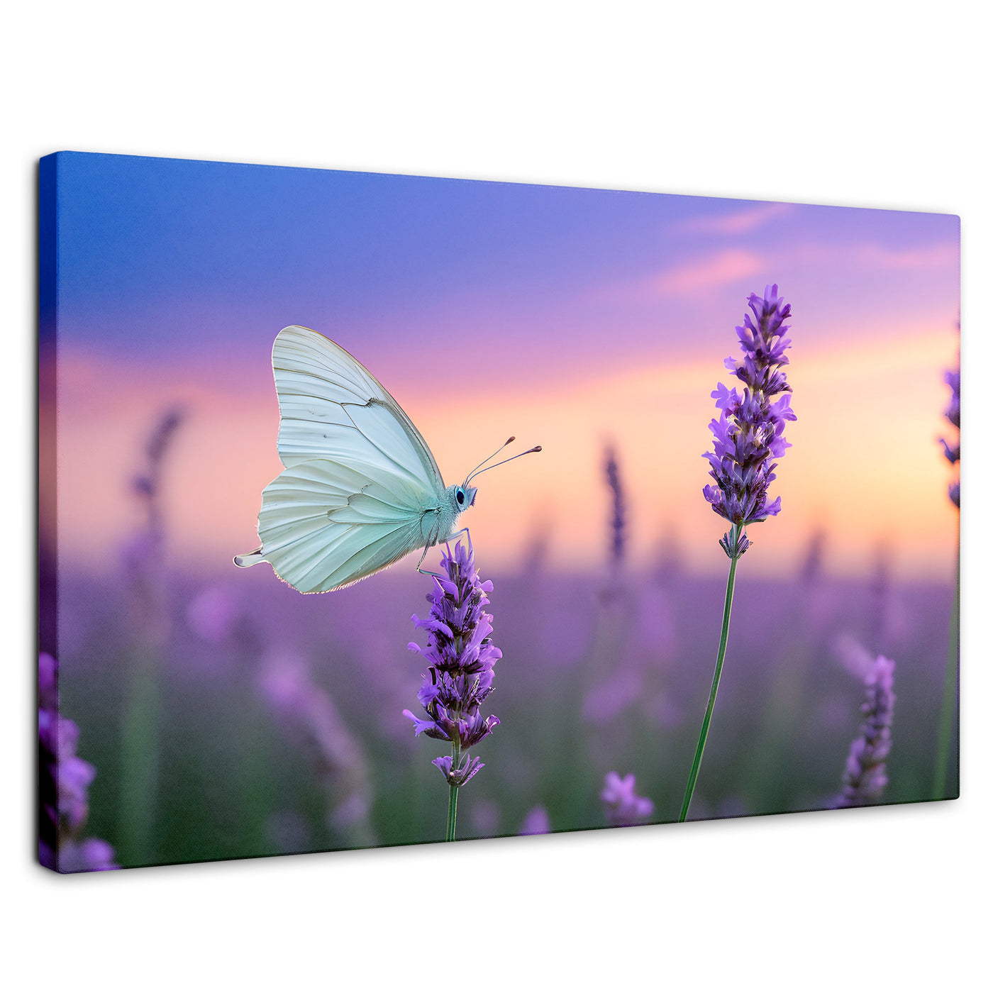Cuadros Decorativos Canvas Revolution | Mariposa Y Lavanda | Rectangular | Portada | Marco SinMarco