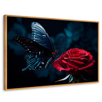 Cuadros Decorativos Canvas Revolution | Mariposa Y Rosa | Rectangular | Portada | Marco Madera