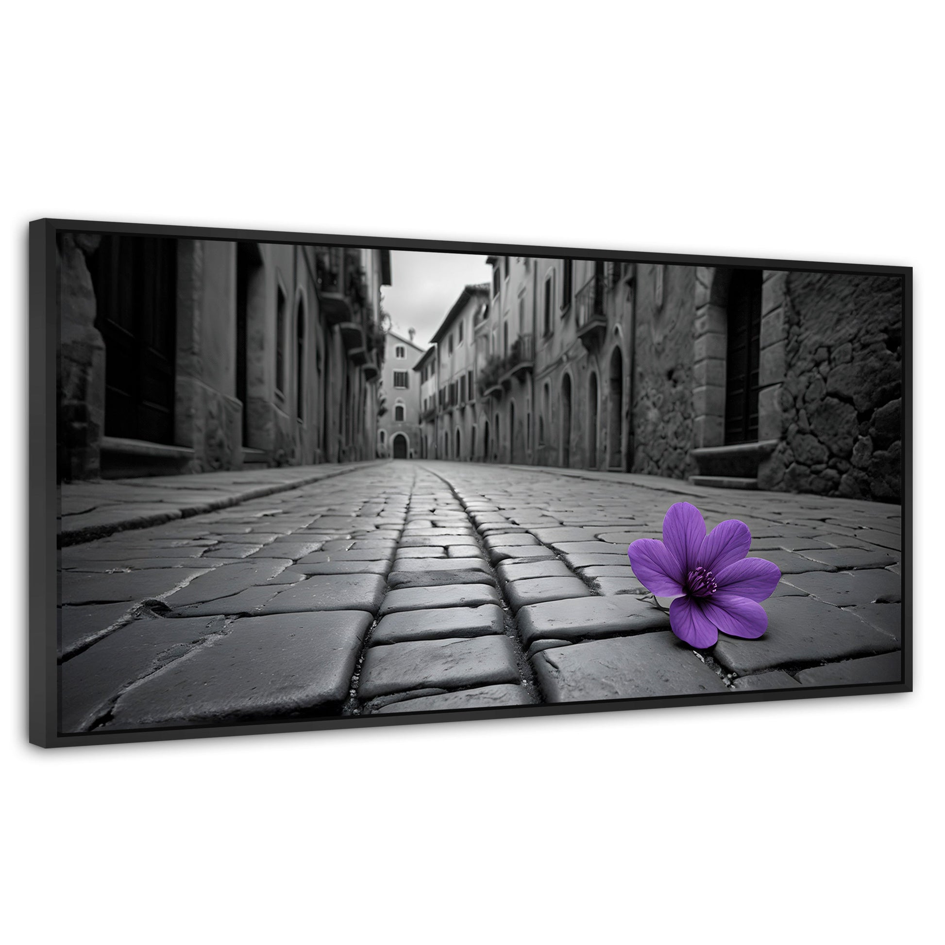 Cuadros Decorativos Canvas Revolution | Morado Callejero | Panoramico | Portada | Marco Plateado