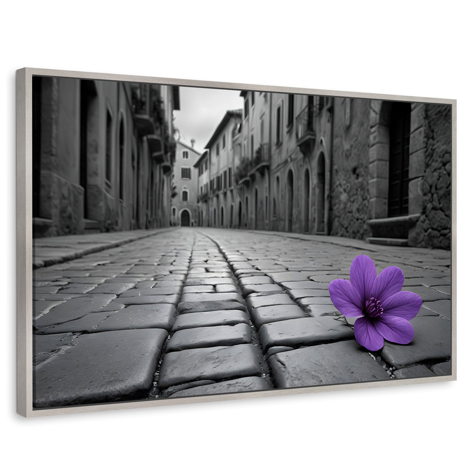 Cuadros Decorativos Canvas Revolution | Morado Callejero | Rectangular | Portada | Marco Plateado