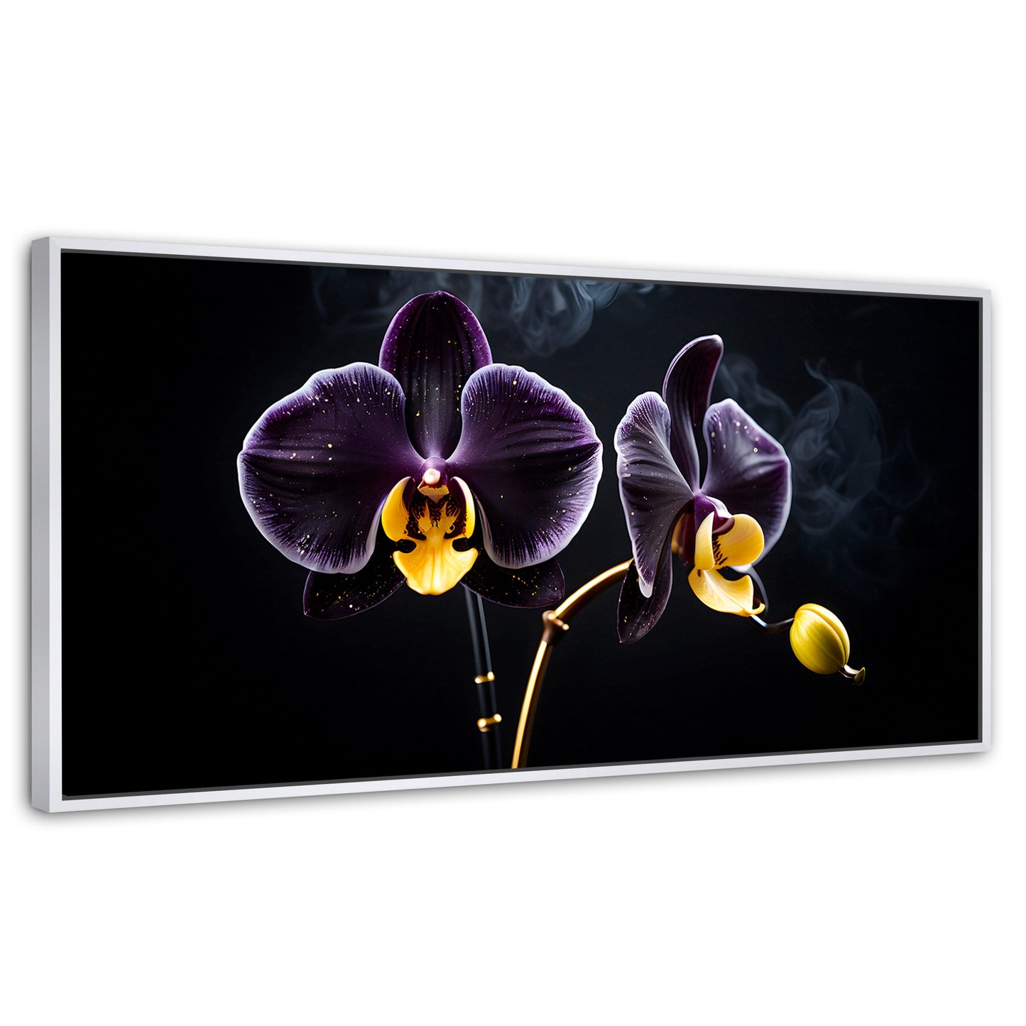 Cuadros Decorativos Canvas Revolution | Orquidea Bicolor | Panoramico | Portada | Marco Blanco