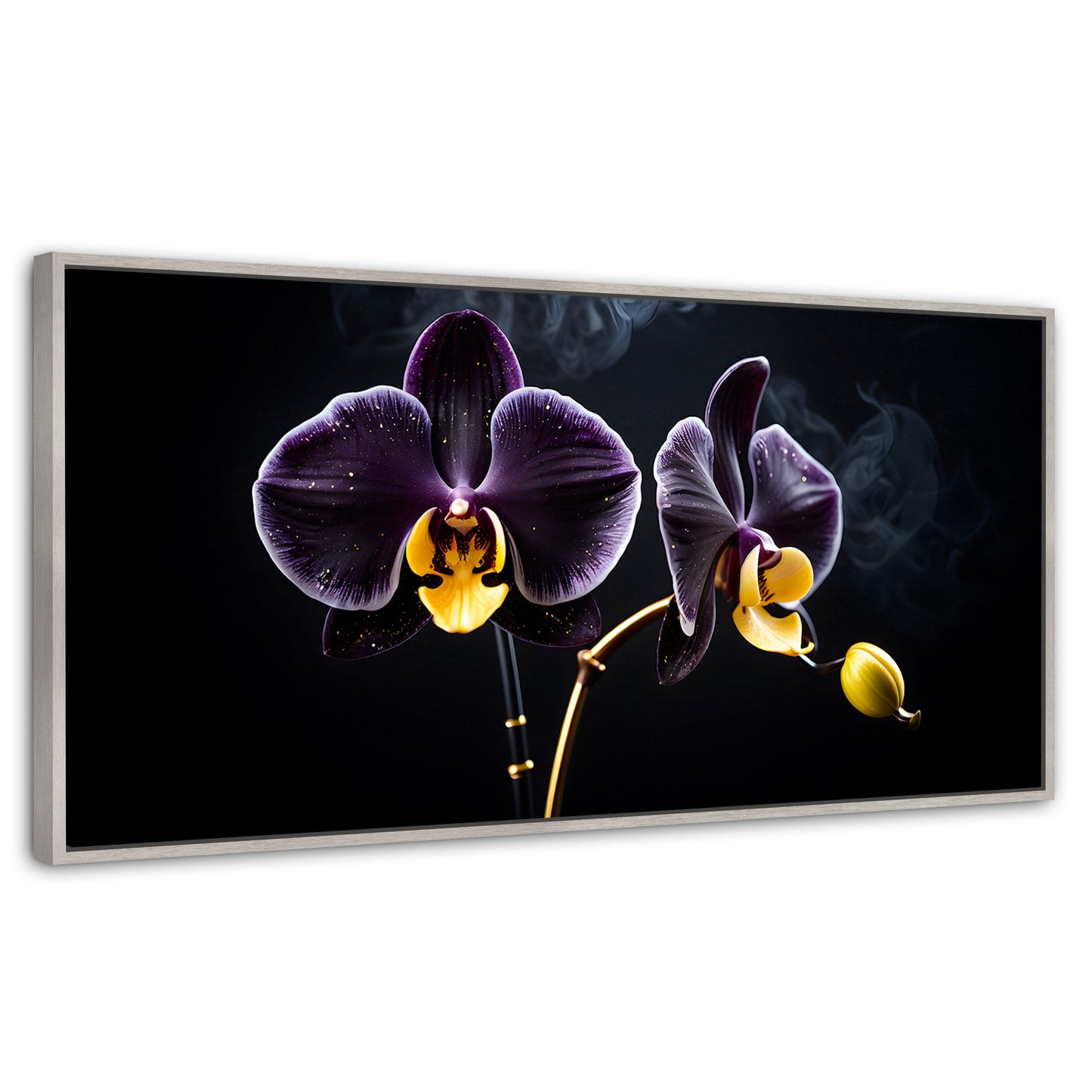 Cuadros Decorativos Canvas Revolution | Orquidea Bicolor | Panoramico | Portada | Marco Plateado
