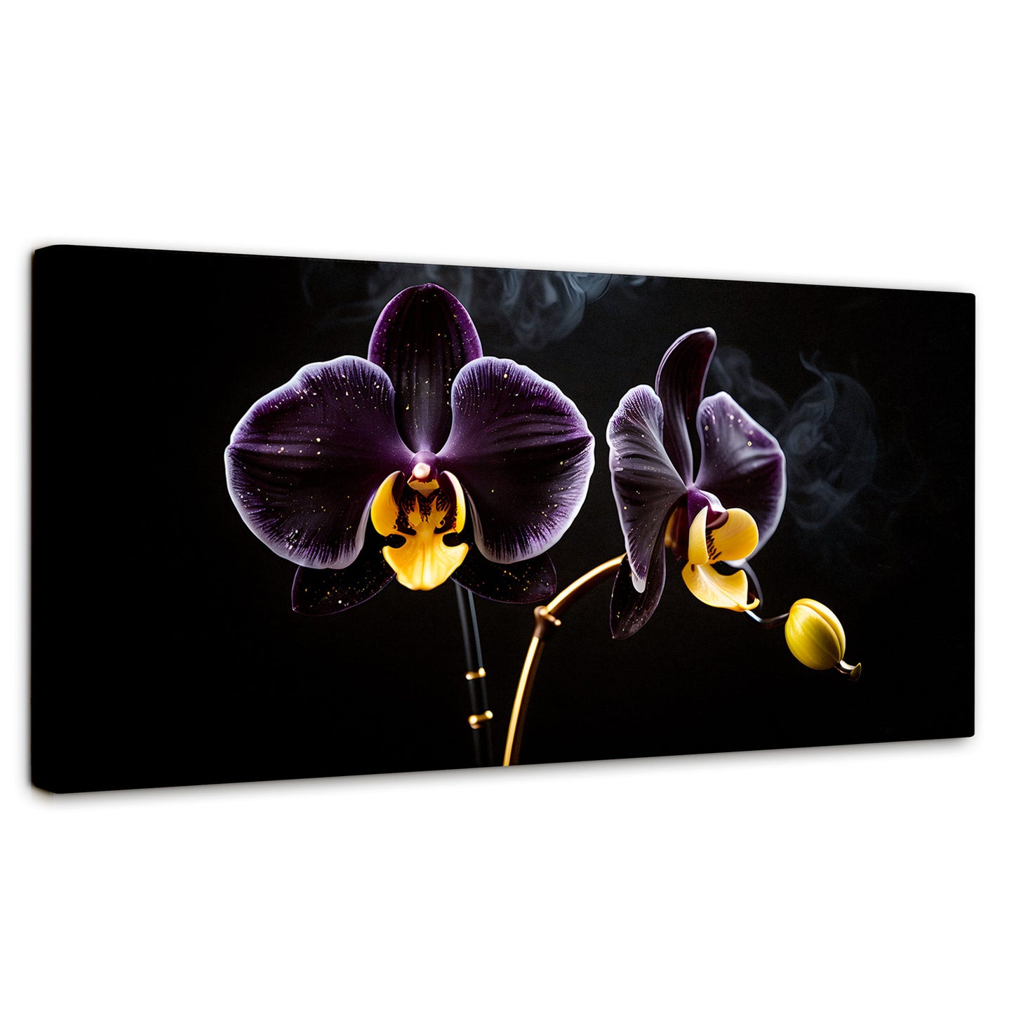 Cuadros Decorativos Canvas Revolution | Orquidea Bicolor | Panoramico | Portada | Marco SinMarco
