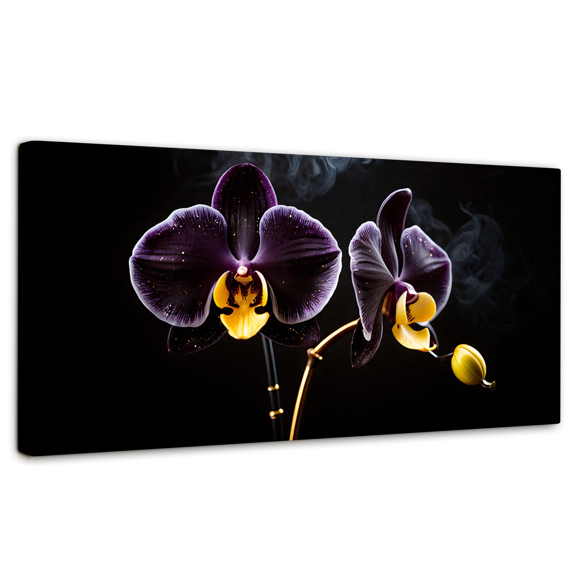 Cuadros Decorativos Canvas Revolution | Orquidea Bicolor | Panoramico | Portada | Marco SinMarco