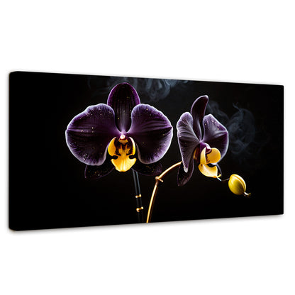 Cuadros Decorativos Canvas Revolution | Orquidea Bicolor | Panoramico | Portada | Marco SinMarco