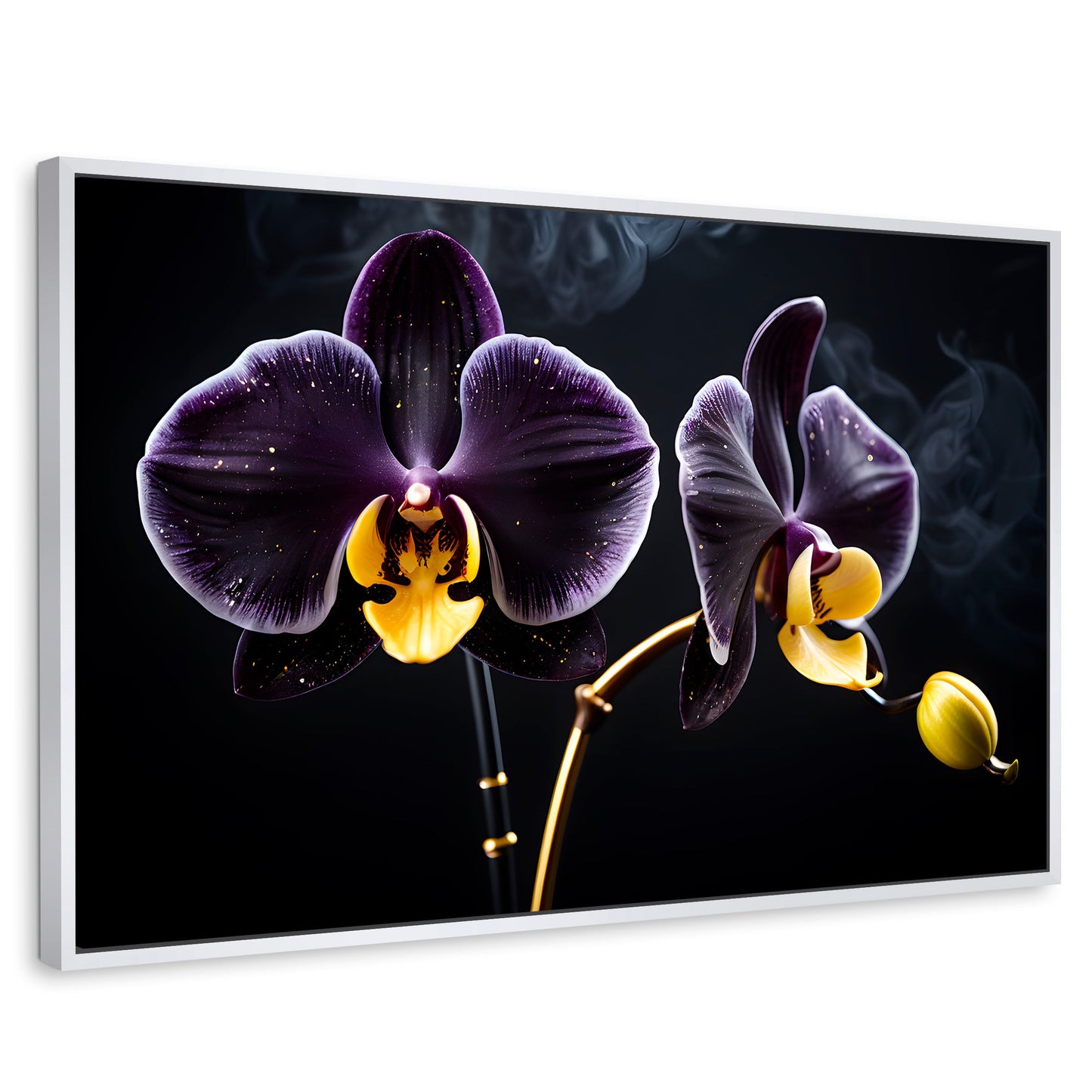 Cuadros Decorativos Canvas Revolution | Orquidea Bicolor | Rectangular | Portada | Marco Blanco