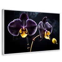 Cuadros Decorativos Canvas Revolution | Orquidea Bicolor | Rectangular | Portada | Marco Blanco