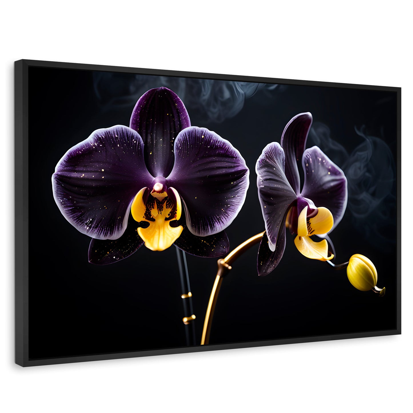 Cuadros Decorativos Canvas Revolution | Orquidea Bicolor | Rectangular | Portada | Marco Negro