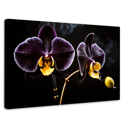Cuadros Decorativos Canvas Revolution | Orquidea Bicolor | Rectangular | Portada | Marco SinMarco