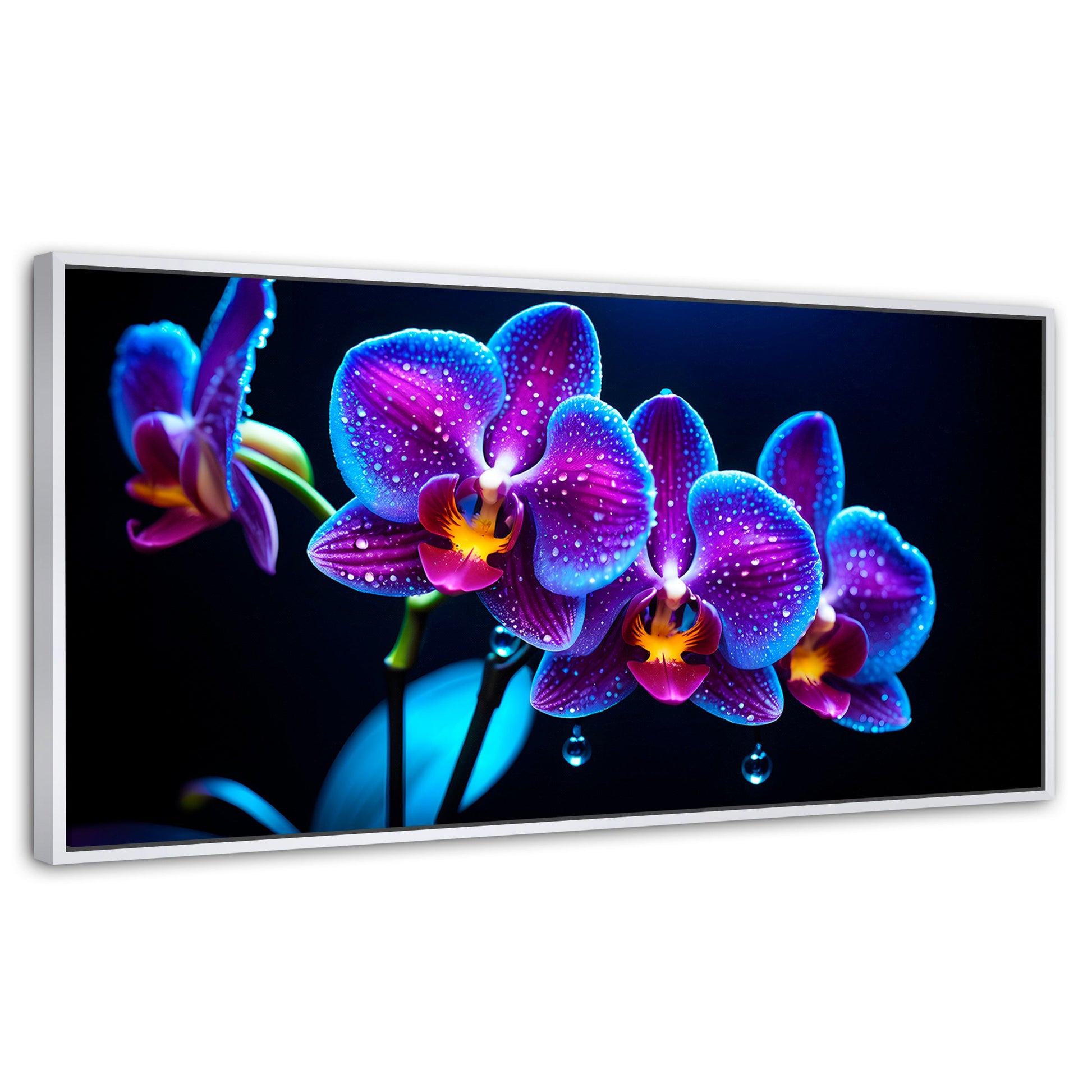 Cuadros Decorativos Canvas Revolution | Orquidea Destello | Panoramico | Portada