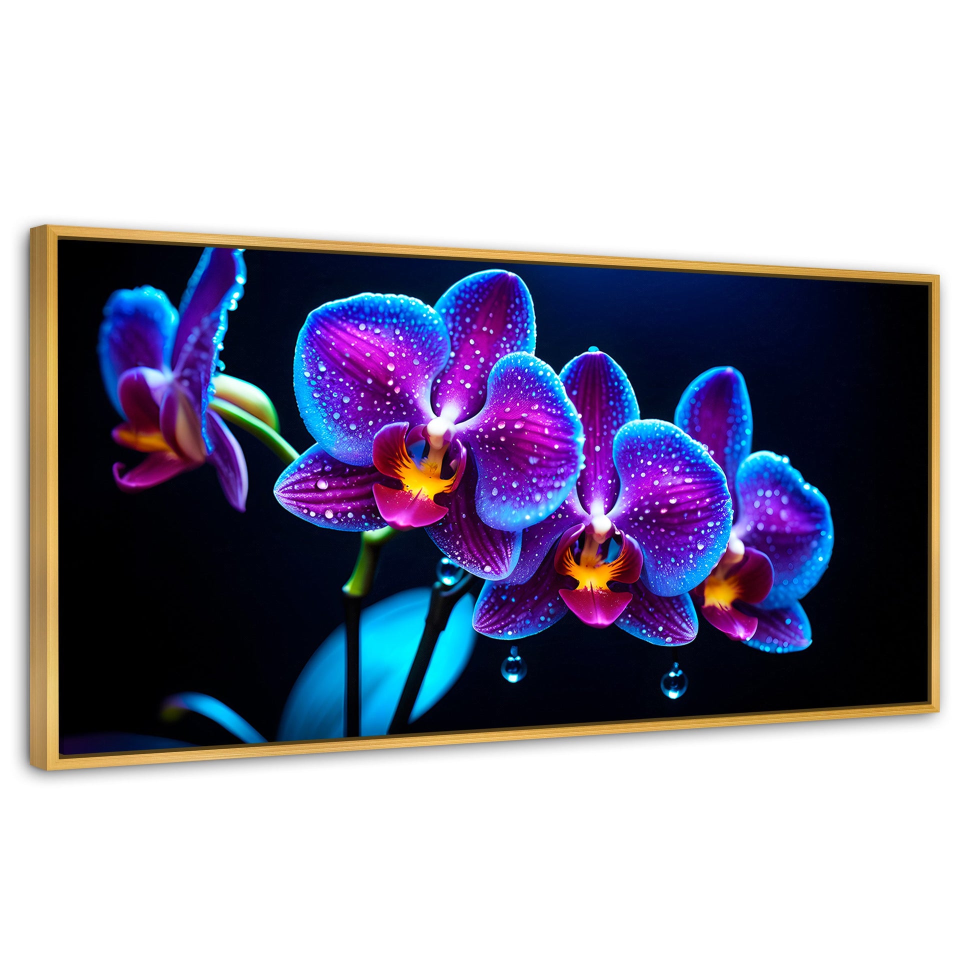 Cuadros Decorativos Canvas Revolution | Orquidea Destello | Panoramico | Portada