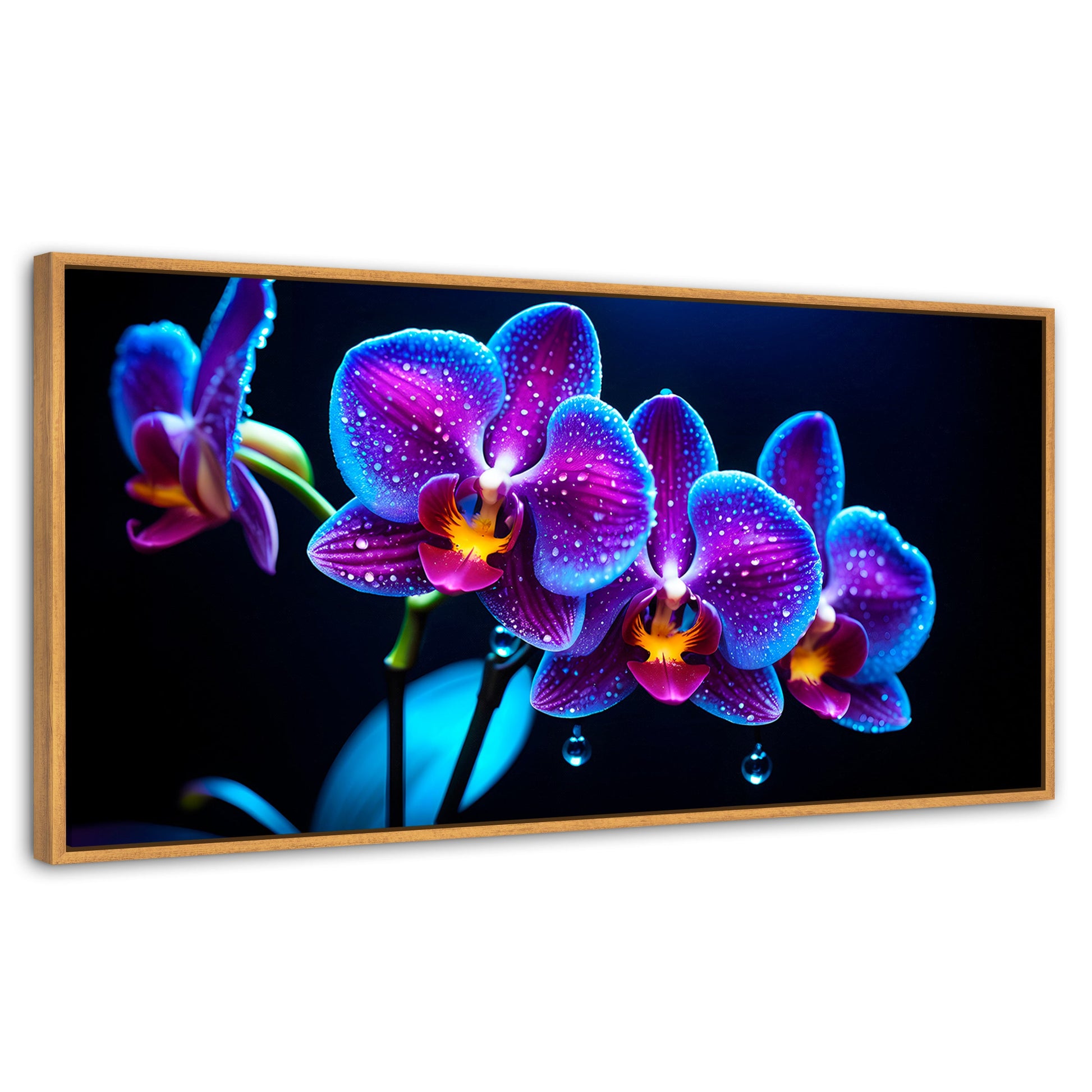 Cuadros Decorativos Canvas Revolution | Orquidea Destello | Panoramico | Portada