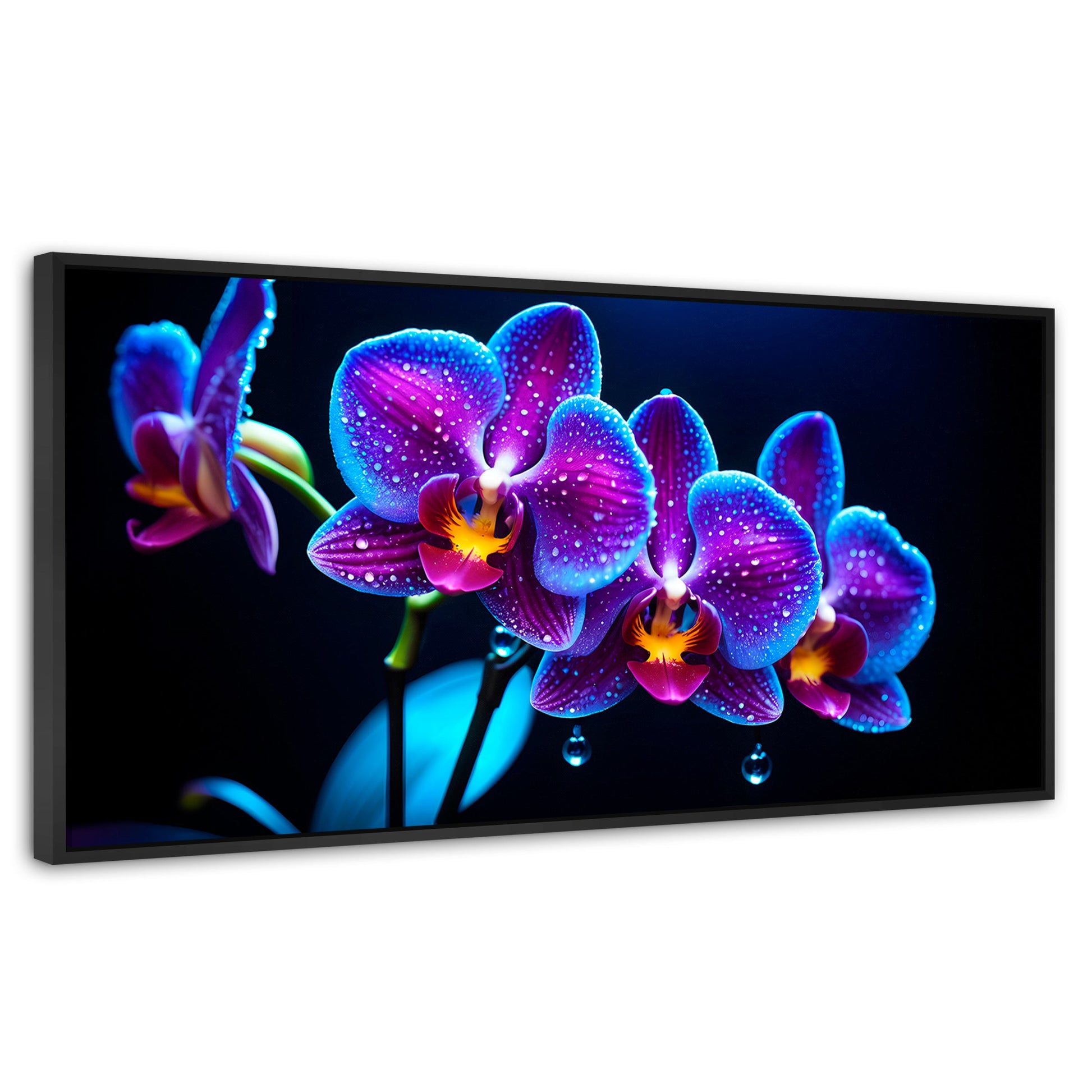 Cuadros Decorativos Canvas Revolution | Orquidea Destello | Panoramico | Portada