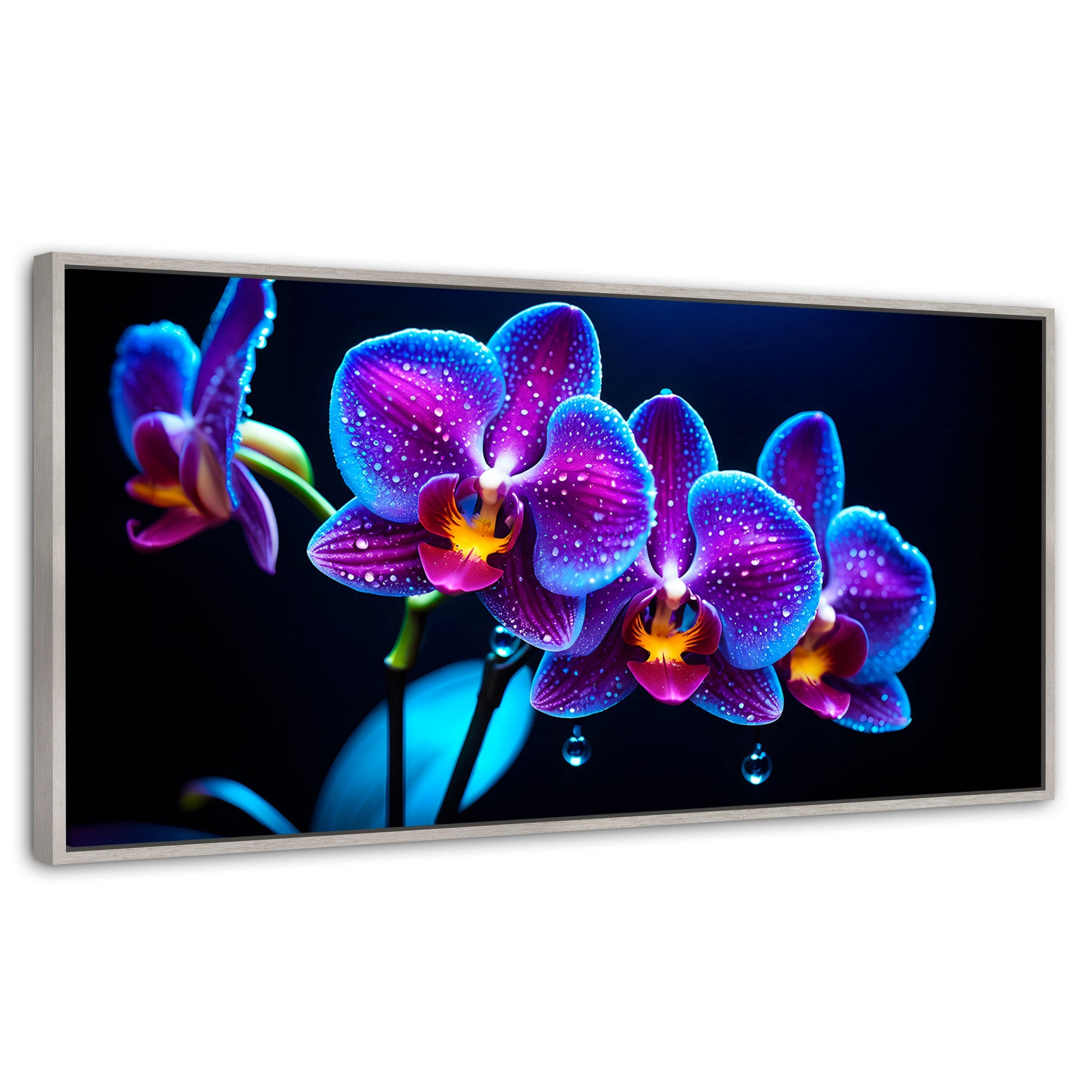 Cuadros Decorativos Canvas Revolution | Orquidea Destello | Panoramico | Portada