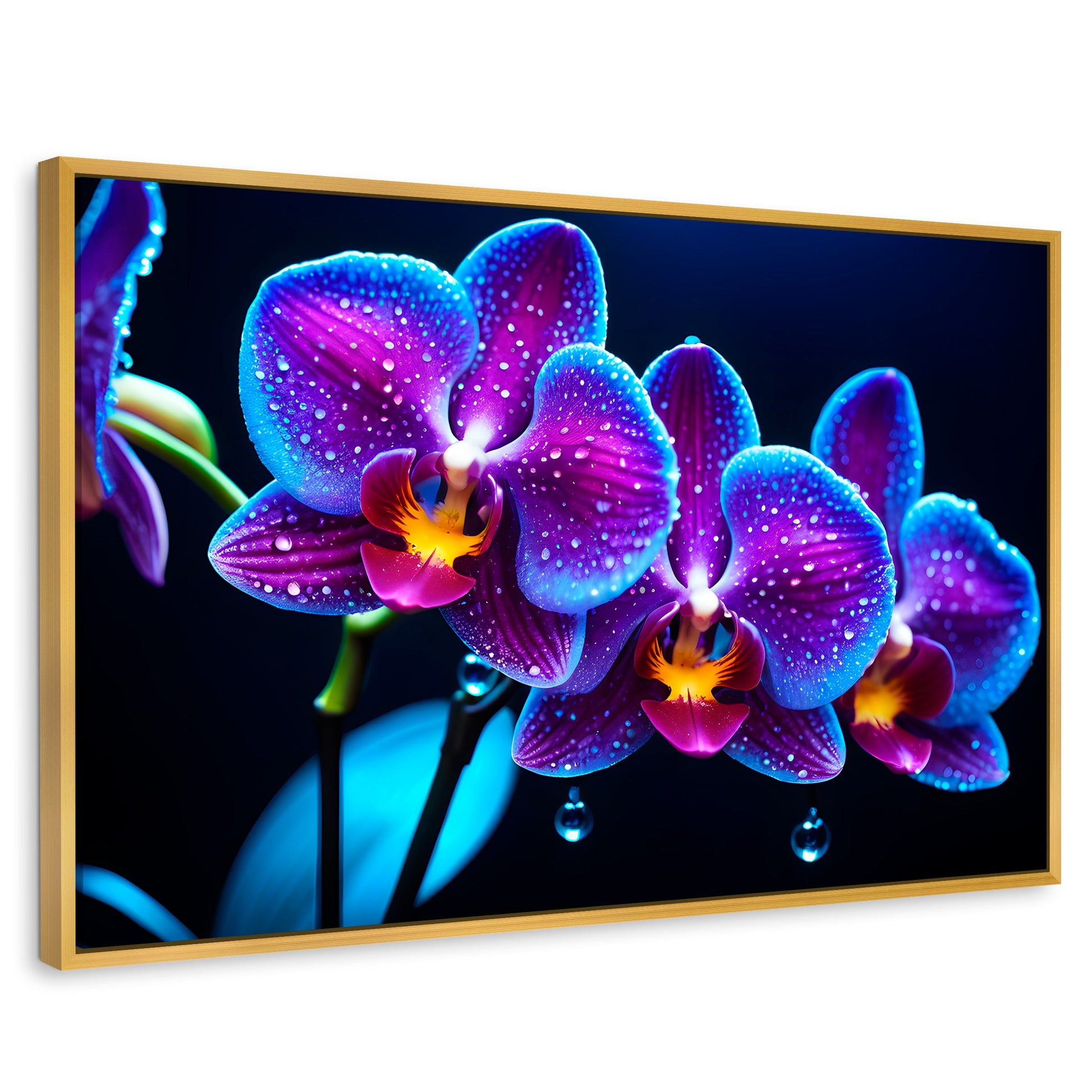 Cuadros Decorativos Canvas Revolution | Orquidea Destello | Rectangular | Portada