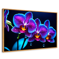 Cuadros Decorativos Canvas Revolution | Orquidea Destello | Rectangular | Portada