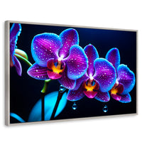 Cuadros Decorativos Canvas Revolution | Orquidea Destello | Rectangular | Portada