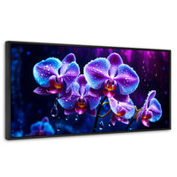 Cuadros Decorativos Canvas Revolution | Orquidea Luz Sutil | Panoramico | Portada