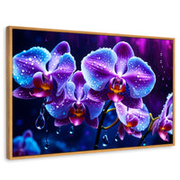 Cuadros Decorativos Canvas Revolution | Orquidea Luz Sutil | Rectangular | Portada