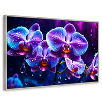 Cuadros Decorativos Canvas Revolution | Orquidea Luz Sutil | Rectangular | Portada