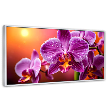 Cuadros Decorativos Canvas Revolution | Orquidea Morada Sol | Panoramico | Portada | Marco Blanco
