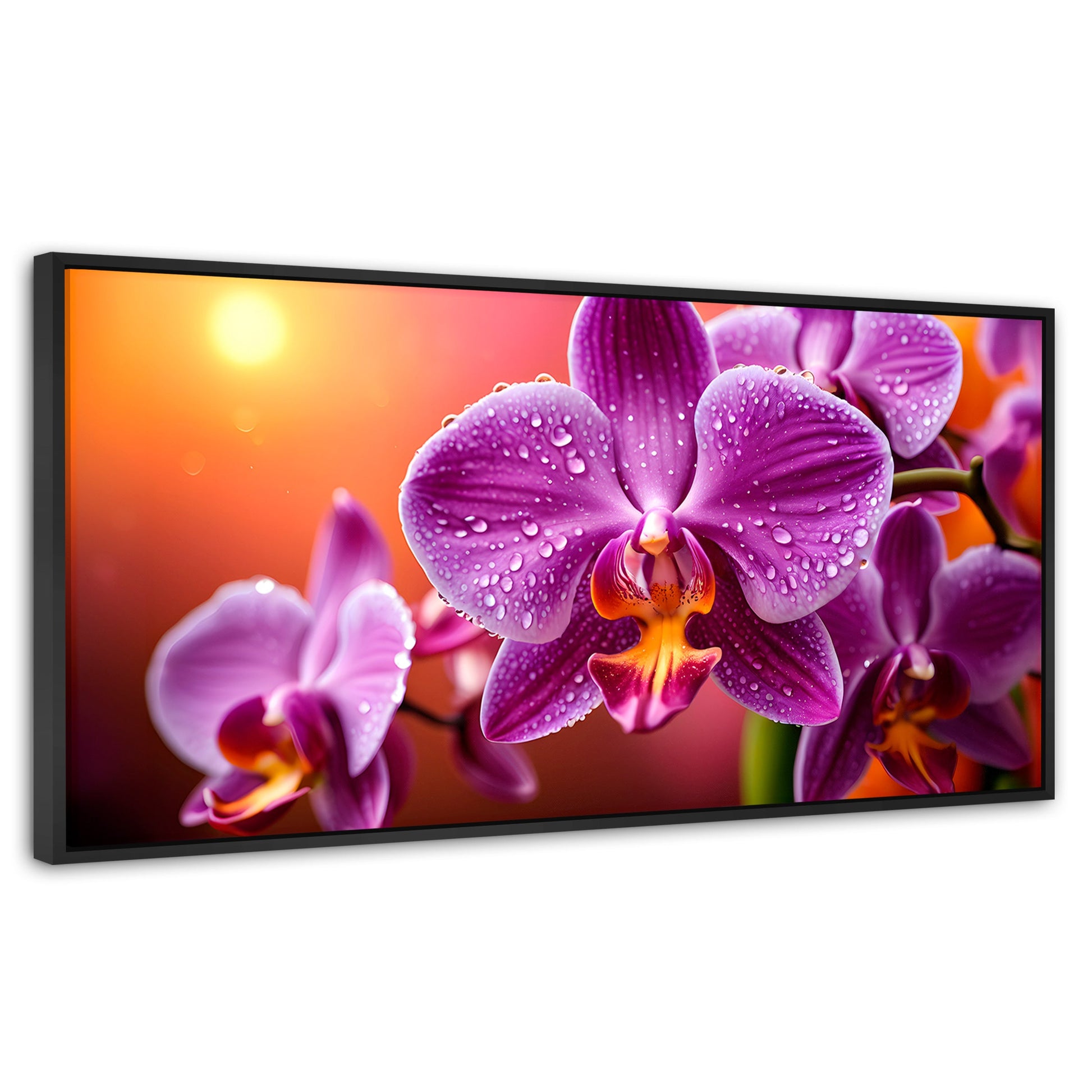 Cuadros Decorativos Canvas Revolution | Orquidea Morada Sol | Panoramico | Portada | Marco Negro