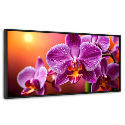 Cuadros Decorativos Canvas Revolution | Orquidea Morada Sol | Panoramico | Portada | Marco Negro