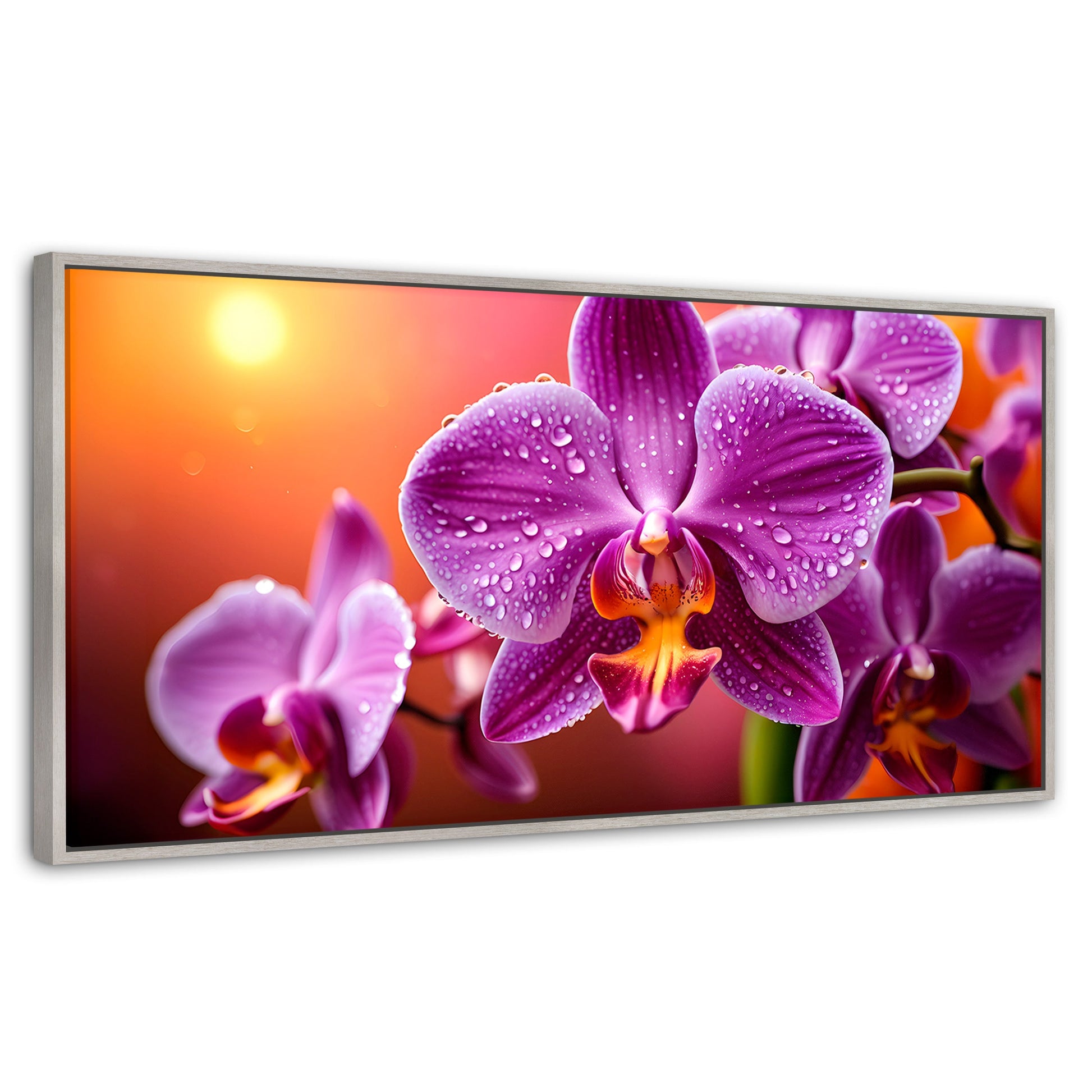 Cuadros Decorativos Canvas Revolution | Orquidea Morada Sol | Panoramico | Portada | Marco Plateado