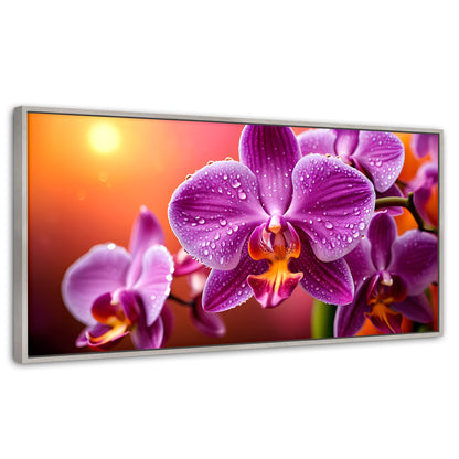 Cuadros Decorativos Canvas Revolution | Orquidea Morada Sol | Panoramico | Portada | Marco Plateado