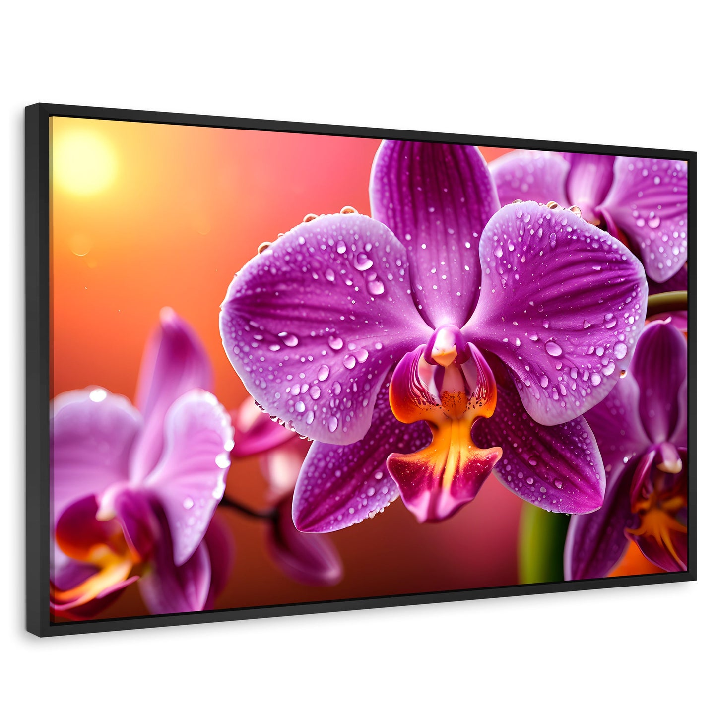 Cuadros Decorativos Canvas Revolution | Orquidea Morada Sol | Rectangular | Portada | Marco Negro