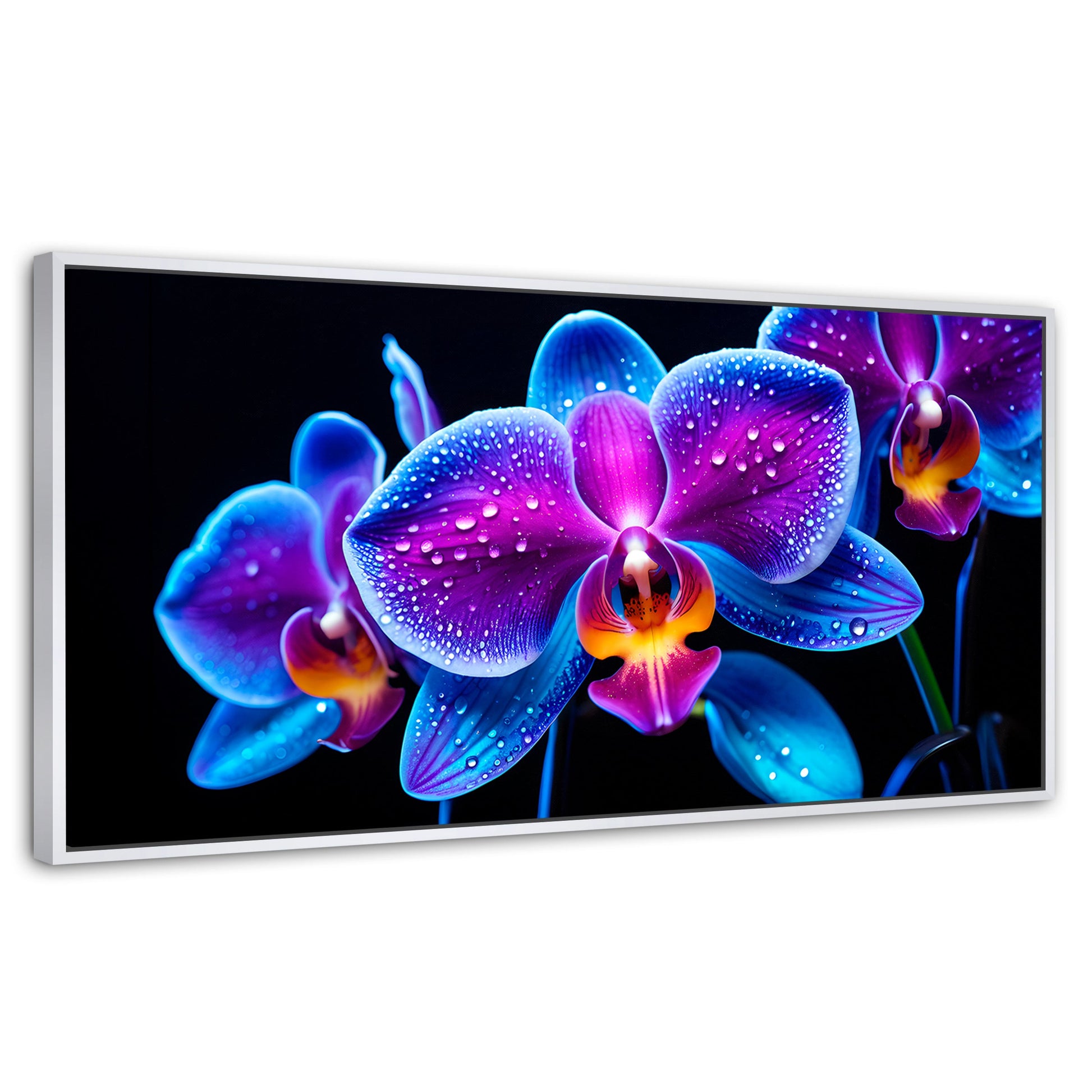 Cuadros Decorativos Canvas Revolution | Orquidea Radiante | Panoramico | Portada
