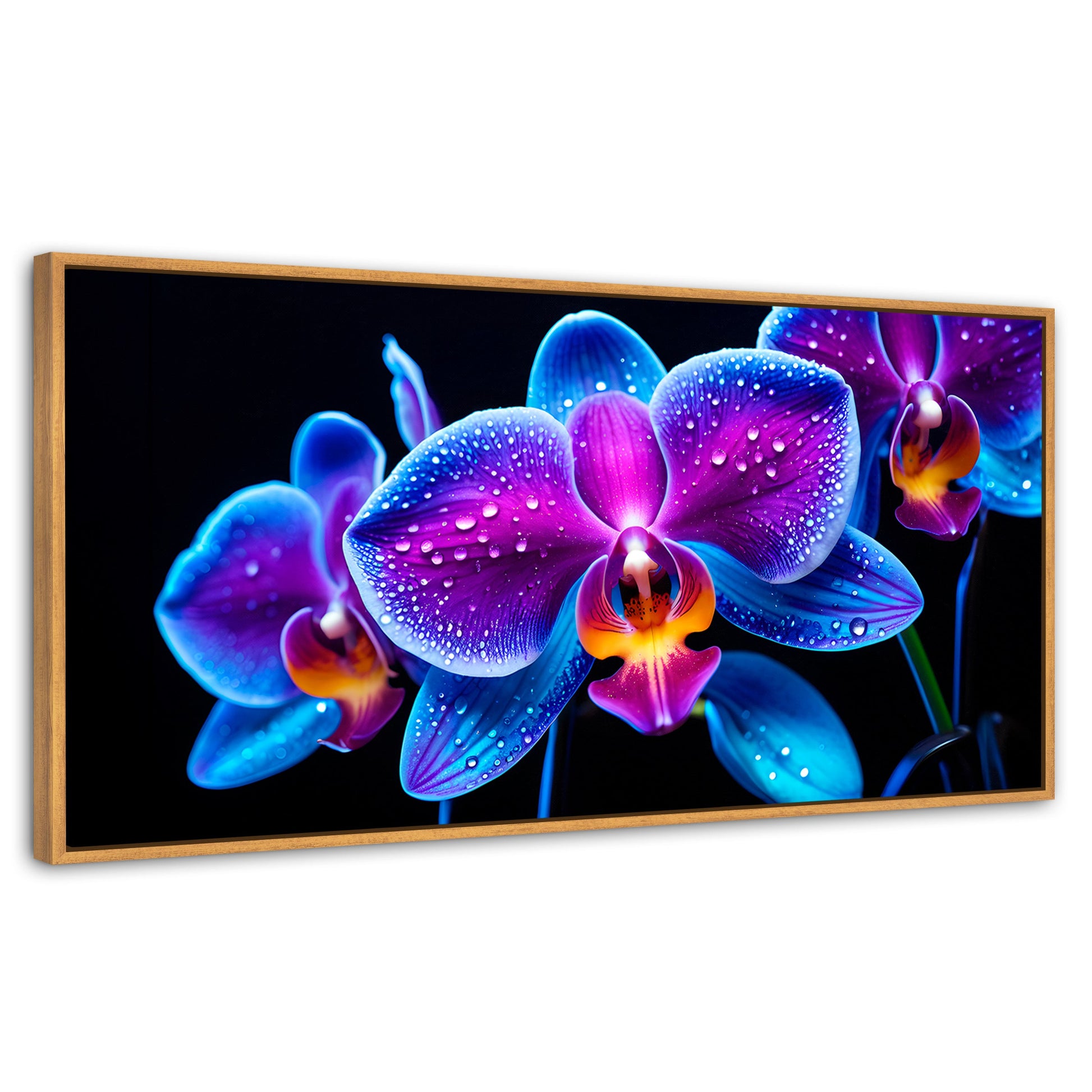 Cuadros Decorativos Canvas Revolution | Orquidea Radiante | Panoramico | Portada