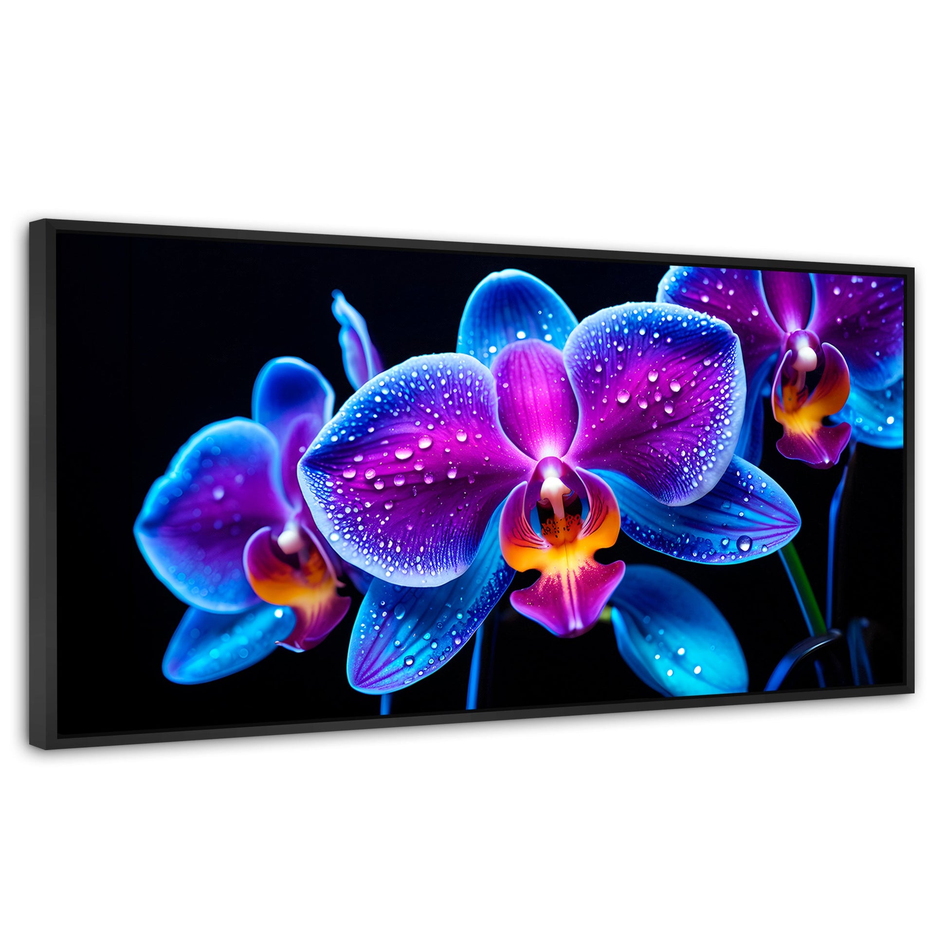 Cuadros Decorativos Canvas Revolution | Orquidea Radiante | Panoramico | Portada