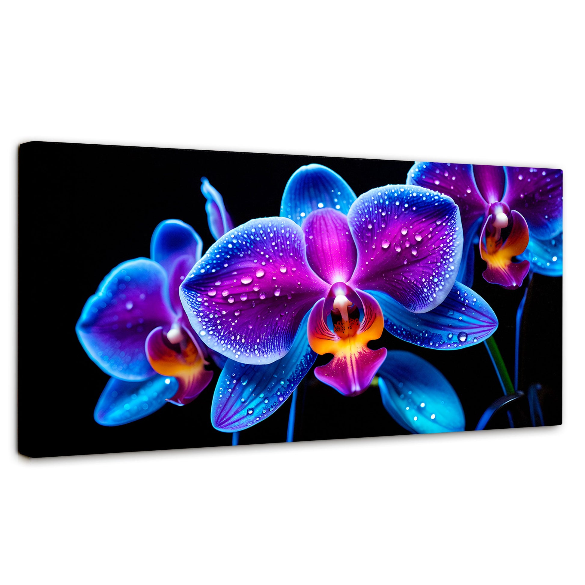 Cuadros Decorativos Canvas Revolution | Orquidea Radiante | Panoramico | Portada