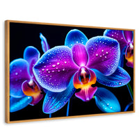 Cuadros Decorativos Canvas Revolution | Orquidea Radiante | Rectangular | Portada