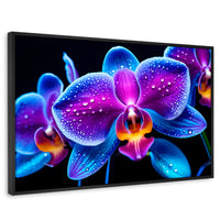Cuadros Decorativos Canvas Revolution | Orquidea Radiante | Rectangular | Portada