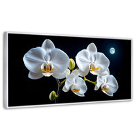 Cuadros Decorativos Canvas Revolution | Orquideas De Noche | Panoramico | Portada | Marco Blanco