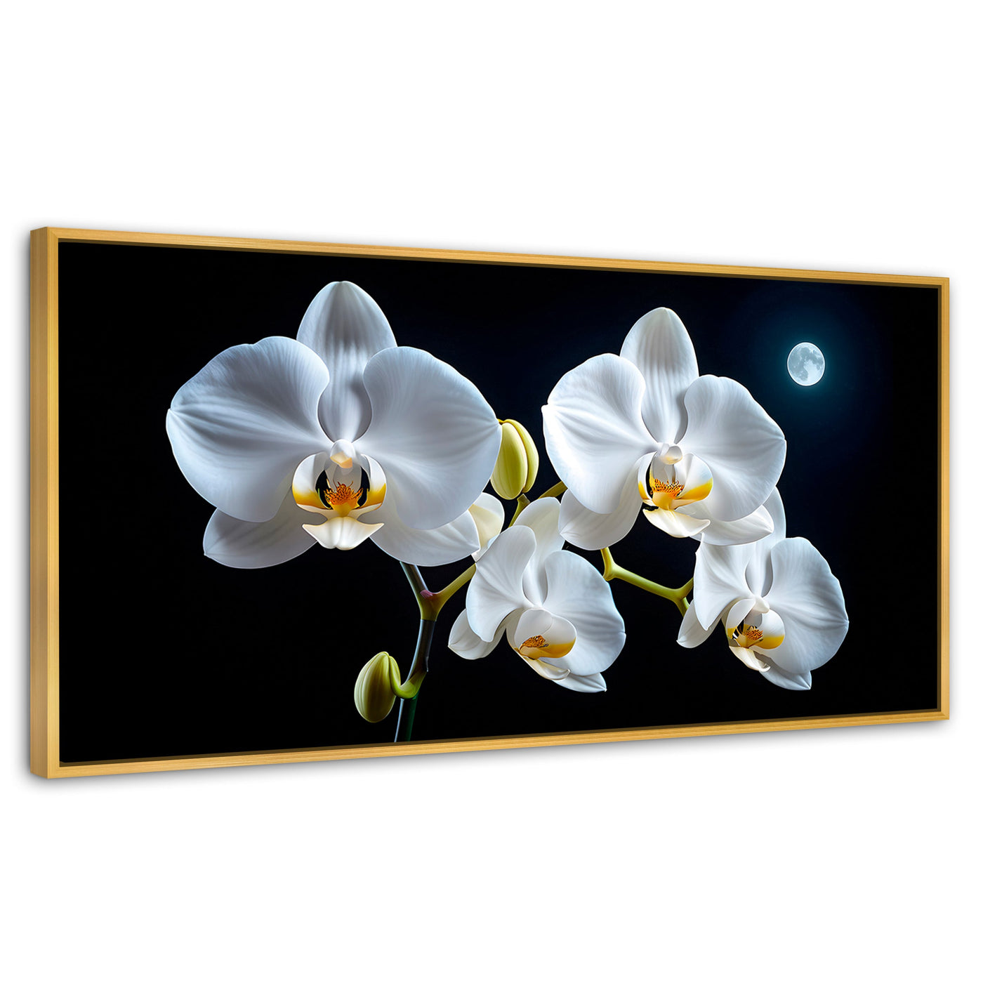 Cuadros Decorativos Canvas Revolution | Orquideas De Noche | Panoramico | Portada | Marco Dorado