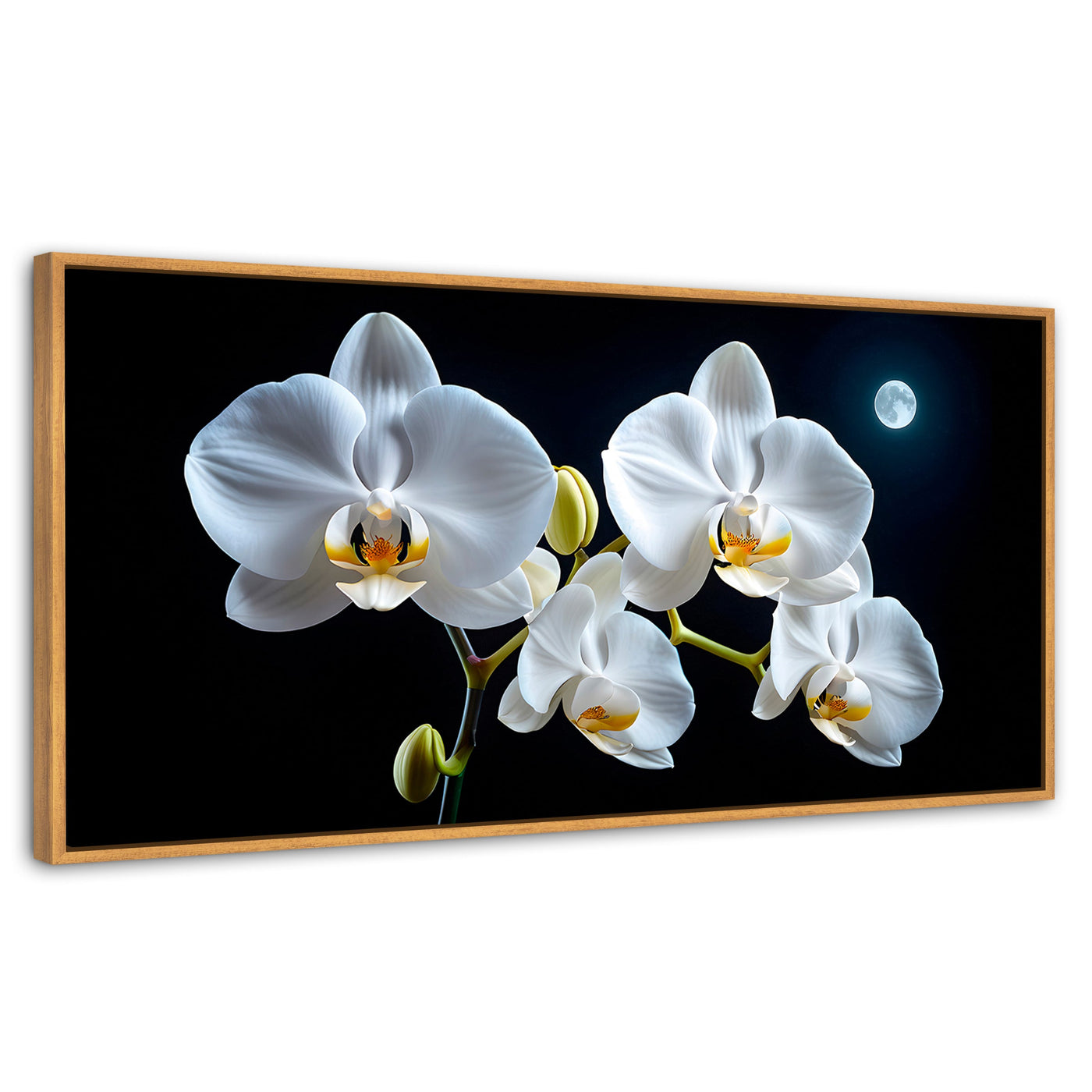 Cuadros Decorativos Canvas Revolution | Orquideas De Noche | Panoramico | Portada | Marco Madera