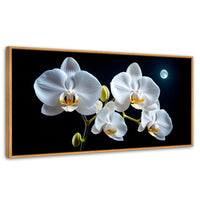 Cuadros Decorativos Canvas Revolution | Orquideas De Noche | Panoramico | Portada | Marco Madera